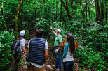 Admission Ticket Monteverde Biological Reserve