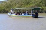 Palo Verde National Park and Coffee Tour