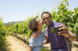 Napa Valley Wine Train with Gourmet Lunch, Wine Tasting and Vineyard Tours