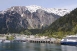 Juneau and Mendenhall Glacier Tour with Mt. Roberts Meal