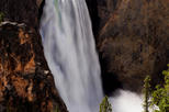 Yellowstone National Park Day Trip Bus Tour from Jackson