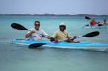 Mangrove Kayak and Snorkeling Tour