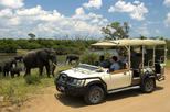 CHOBE SAFARI OVERNIGHT CAMPING TRIP