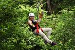 Manuel Antonio National Park Combo Tour from San Jose