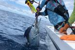 Offshore Sportfishing