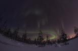 Lapland Northern Lights Safari by Reindeer Sleigh from Saariselkä