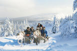 Lapland Snowmobile Safari to a Reindeer Farm from Saariselkä Including Reindeer Sleigh Ride