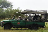 The Best of Botswana