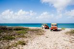Aruba Island Ultimate Safari