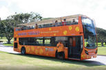 Waikiki Trolley Hop-On Hop-Off Tour of Honolulu