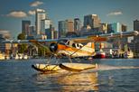 Seattle Seaplane Flightseeing Tour from Lake Union