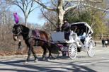 Central Park Private Horse and Carriage Ride with Photographer