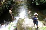Private Tour: Medellín Nature Experience