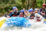 8-Day Tour: Jewels of Costa Rica