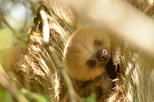 8-Day Tour: Jewels of Costa Rica
