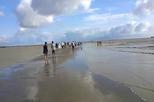 Chittagong Small-Group City Day Tour