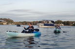3-Hour Manatee Swim and Paddle Tour in Crystal River