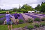 Sequim Lavender Festival Tour from Seattle