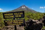 Arenal Volcano National Park Walk with Optional Hot Springs
