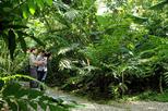 Nature Walk at Ecological Park and Butterfly Garden Danaus