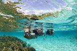 Snorkeling Tour in Panama