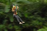 Stand Up Paddle Board or Kayak and Extreme Zipline Adventure from Antigua