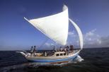 Hol Chan Marine Park, Shark Ray Alley, and Caye Caulker Tour