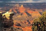 Grand Canyon South Rim Tour with Lunch from Flagstaff