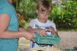 Volunteer Program and Tour at Wildlife Rescue Center in Costa Rica