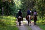 2-Day Horse Riding Tour in Sredna Gora from Plovdiv