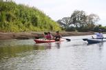 Mangrove Kayak