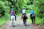 Horseback Ride to La Fortuna Waterfall