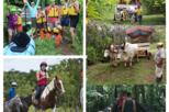 Cinco Ceibas Full-Day Tour From San Jose