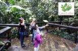 San Jose to Cinco Ceibas Rainforest Reserve Bird Watching Tour