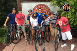 Fort Collins Bike and Brewery 4-Hour Tour with Beach Cruiser