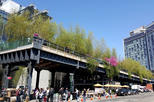 High Line and Greenwich Village NYC Private Walking Tour