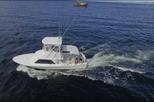 All-Inclusive Deep Sea Fishing Day Trip in Costa Rica