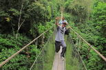 San Jose to Arenal Hanging Bridges and Luxury Hot Springs