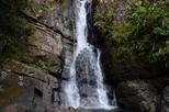 El Yunque Rainforest, Bioluminescent Bay Tour from San Juan