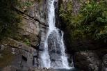 El Yunque Rainforest, Bioluminescent Bay Tour from San Juan