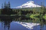 Columbia River Gorge Waterfalls and Mt Hood Small-Group Tour