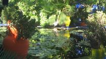 Le Jardin Majorelle et la palmeraie à dos de chameau depuis Marrakech, Marrakech, Excursions à la demi-journée