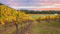 Yarra Valley Boutique Winery Tour from Melbourne, Melbourne, Wine Tasting & Winery Tours