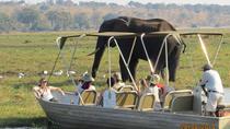 Viagem diurna de Chobe saindo de Victoria Falls, Cataratas Vitória
