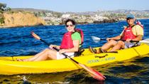 Laguna Beach Guided Kayak Tour with Sea Lion Viewing 2018