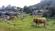 Private Trekking Tour in El Torcal from Marbella or Malaga Private Trekking Tour in El Torcal from Marbella or Malaga