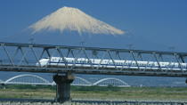 Kyoto and Nara 2-Day or 3-Day Rail Tour by Bullet Train from Tokyo, Tokyo