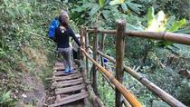 Excursão particular em Doi Inthanon com caminhada e almoço saindo de Chiang Mai, Chiang Mai