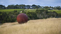 Estate to Plate: Montalto Vineyard Gourmet Lunch and Wine Tasting Tour, Melbourne, Dining ...