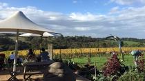 Mornington Peninsula Wine and Cheese Tasting Day Trip from Melbourne, Melbourne, Day Trips